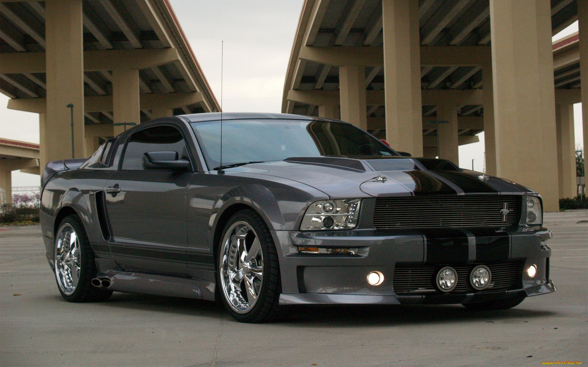 , mustang